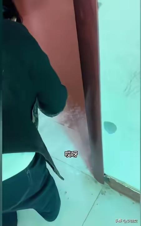 儿子离世第三天，妈妈在家里洒满面粉只为等到他的脚印。妈妈一边撒面粉一边红着哭肿的