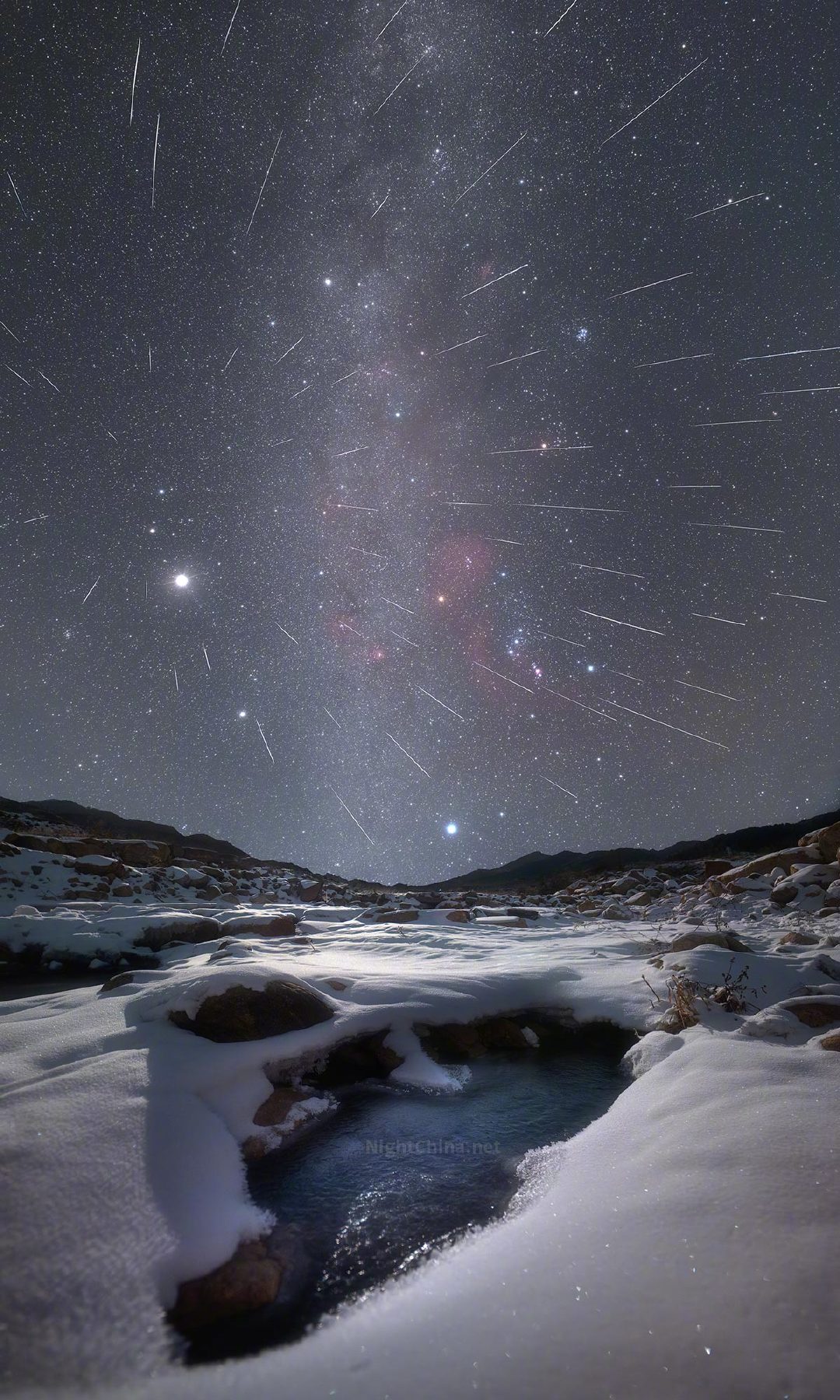 零下二十度的雪原，是写给冬夜的留白。 用一整夜的漫长守候，换来这一场从天而降的奔