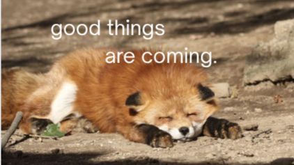 评论里抽奖抽个海康威视的单盘位NAS，千兆网口给想轻度体验简易nas的人玩玩  