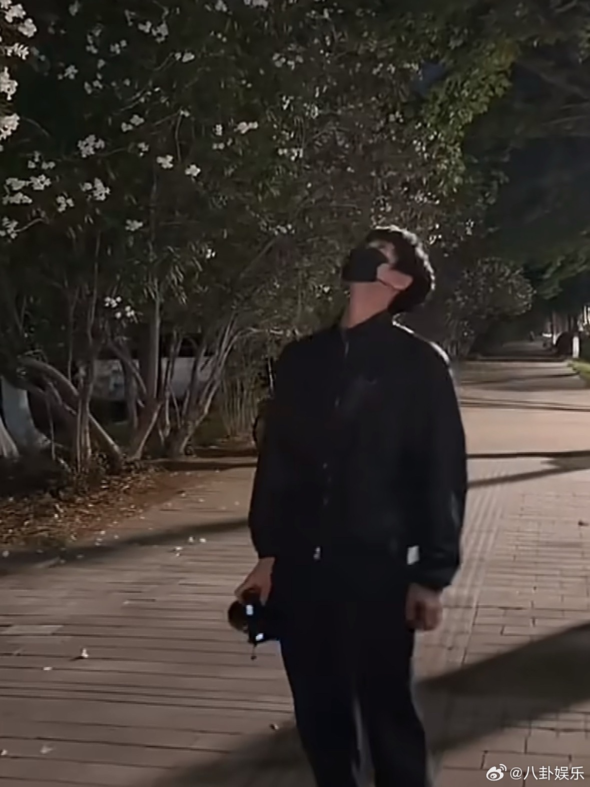 张凌赫田曦薇 深夜散步糖 最好笑的是他发完动态还把BGM换了重发。这不妥妥的“欲