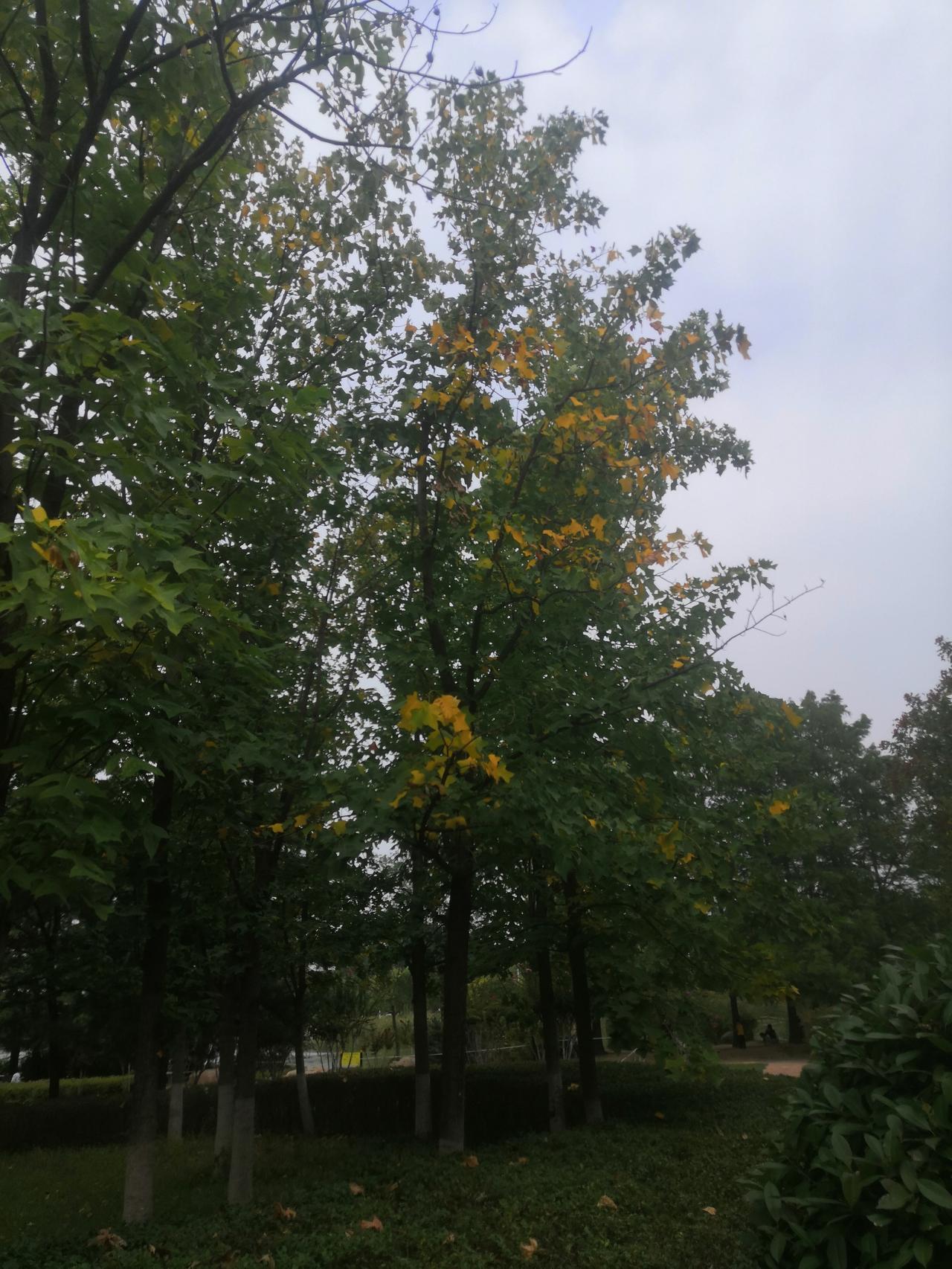 实际走路有多种形式，为走路而走路是一种，有选择的走路是另一种。为走路而走路，容易