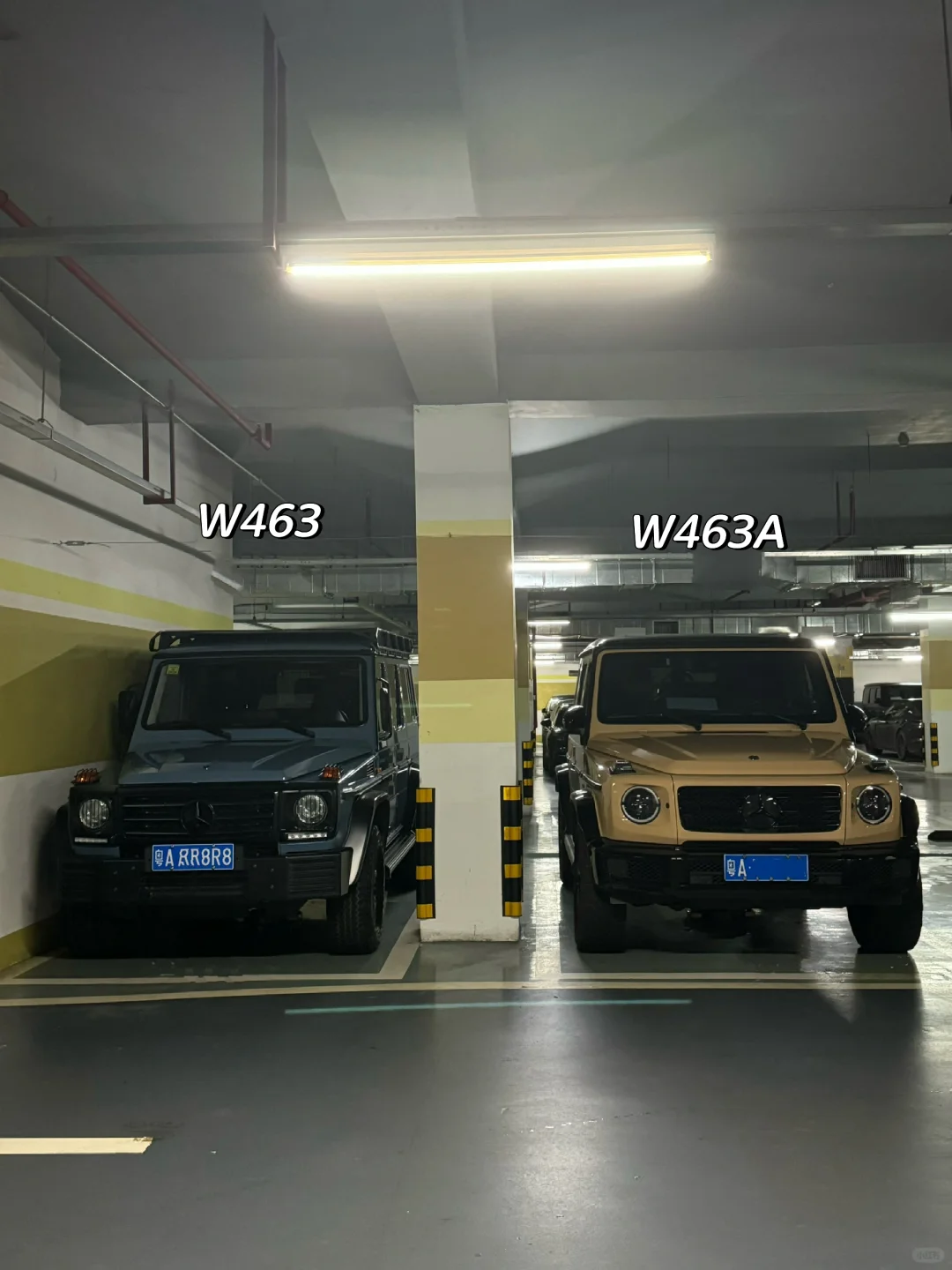 三台奔驰G车主有话说🙋