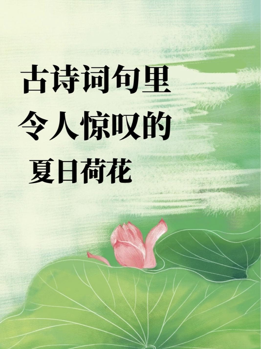 夏日炎炎，一抹清荷，不仅是自然的馈赠，更是文人墨客笔下永恒的风景。古诗词里令人惊