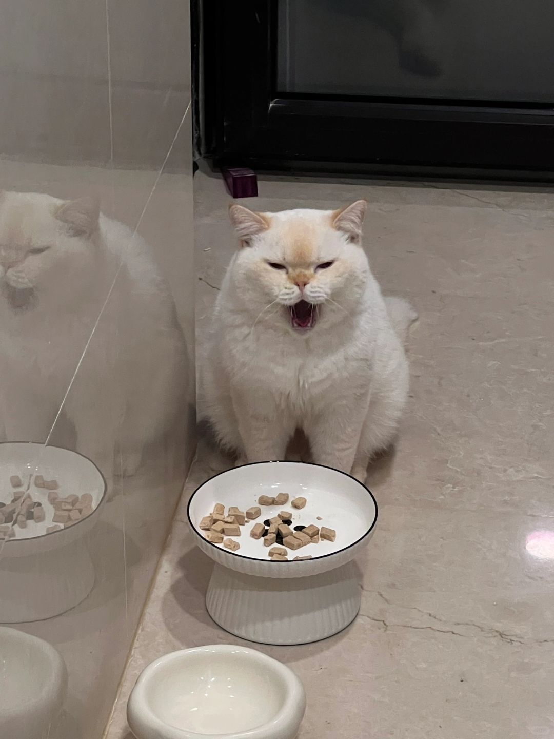 罐罐吃饭饭