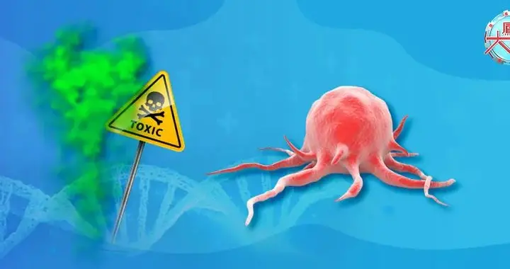 住在这个楼层的人一定要看，你家可能藏着致癌的有毒气体