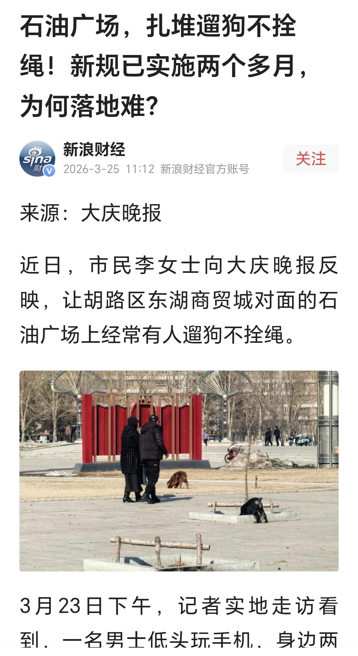 为什么遛狗拴绳的规定难落实？大庆某地的一个广场成了不拴绳遛狗的集中地，引发附近居