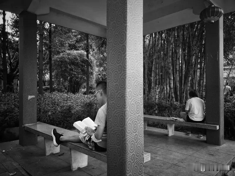 倘若无需工作，我定会先尽情放纵一番。每日睡到自然醒，惬意地窝在被窝里，待肚子咕咕