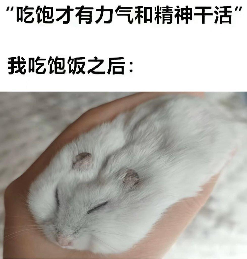 我就这个样 