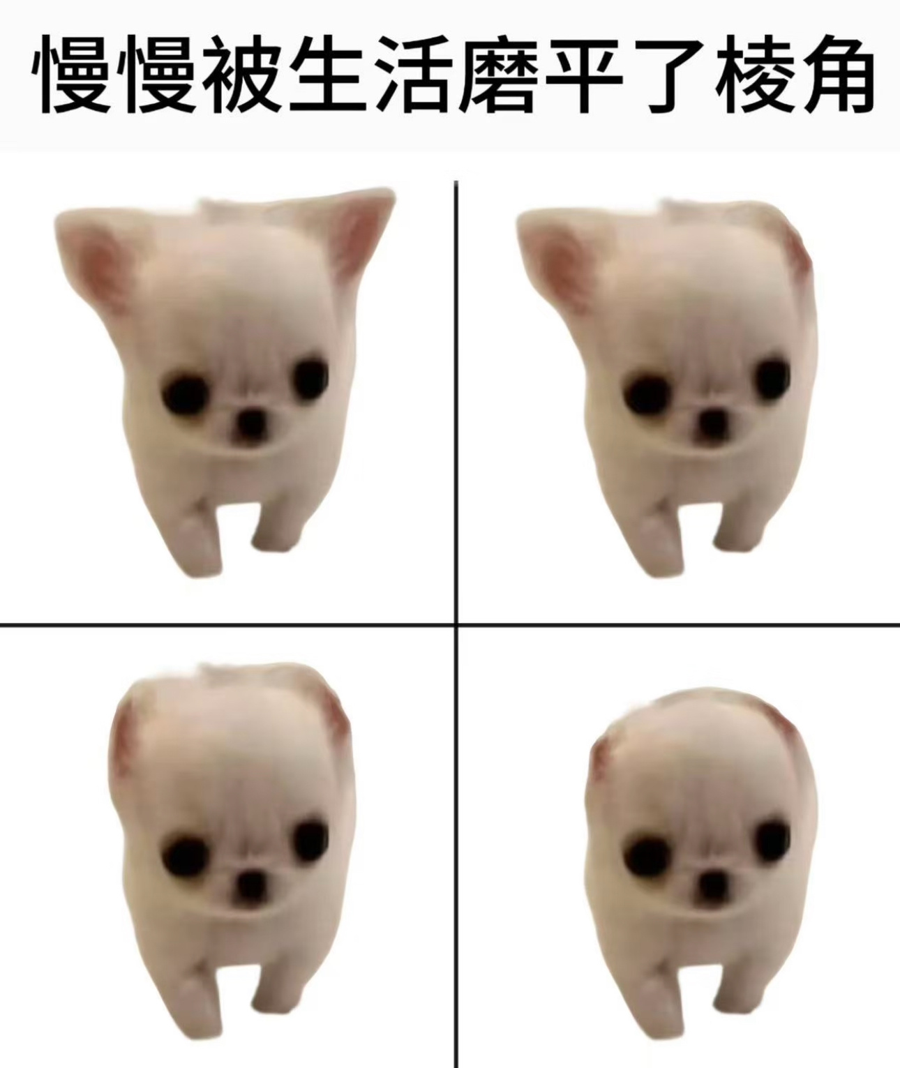 橹穆  慢慢被生活磨去了棱角… 