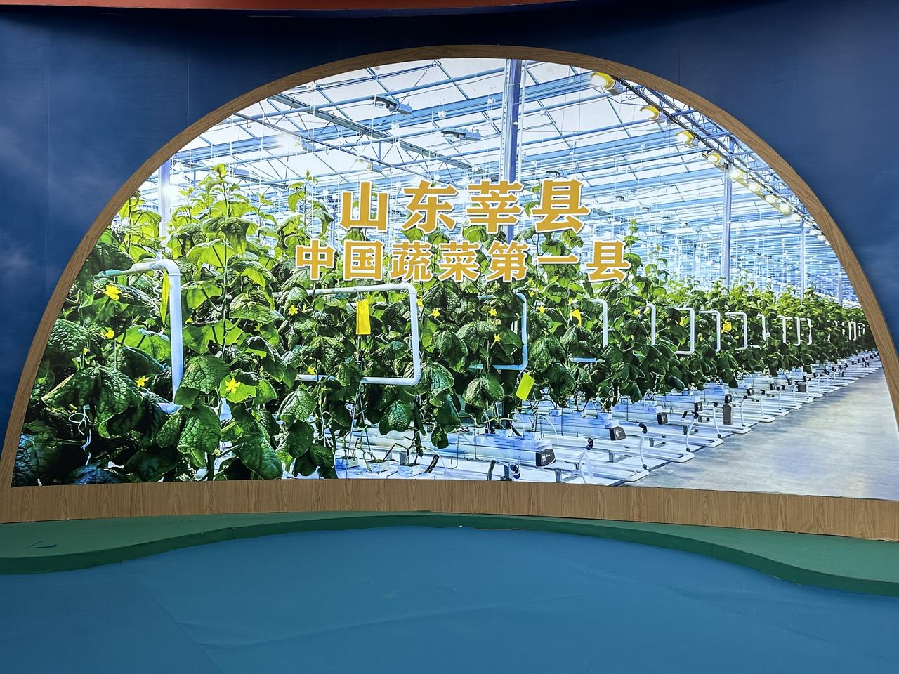 2026山东绿色蔬菜博览会以绿色发展为引领，集中展示蔬菜、瓜果、食用菌优良品种及