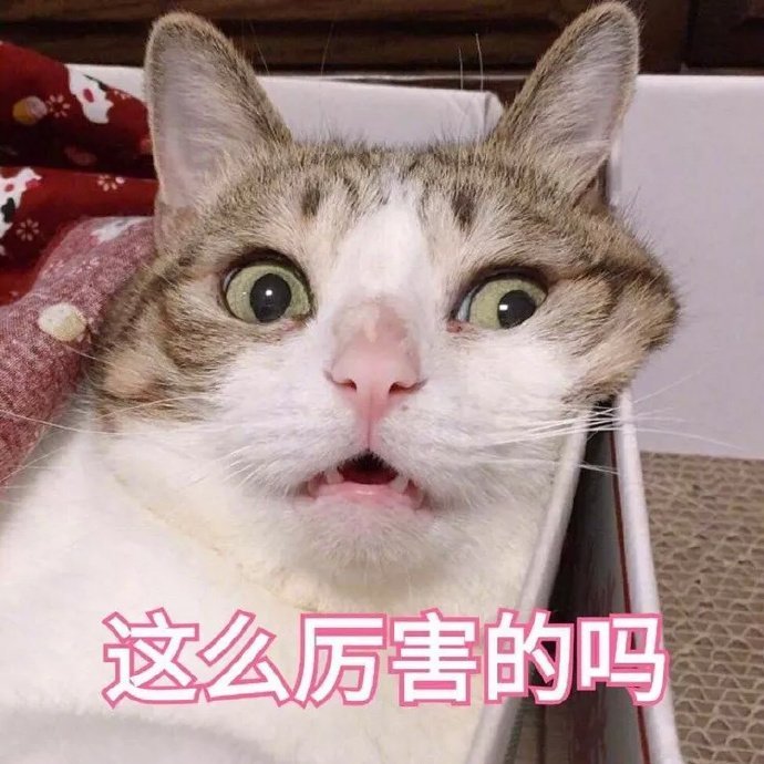 别说老外震惊我也震惊了逛博物馆看千年前精巧文物，工艺精巧程度超出想象，外国游客连