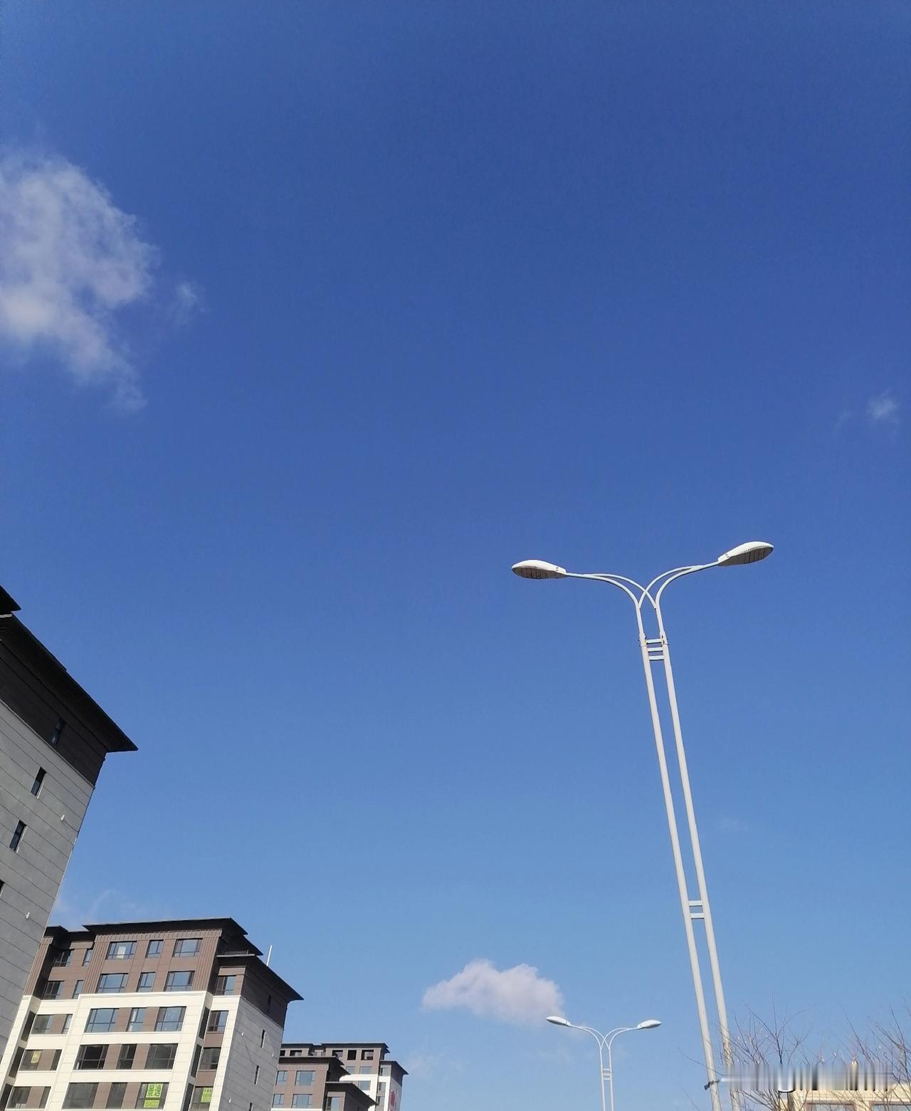 一个大鹅蛋，就把我的胃填饱了。做的其他的菜，也只能过过眼瘾，留着下午那一顿吧。