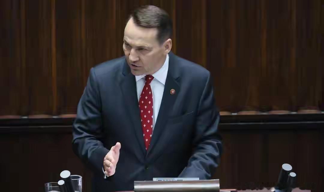 马斯克又又又和政界大佬隔空互怼了，这次的对手是波兰外长。欧盟最近给马斯克的X平台