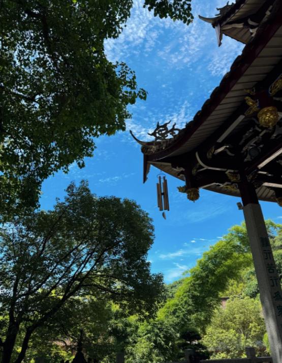 AI改造消费品，你的零食洗发水要变了
亲爱的朋友们大家好，我是海林小百科，今天我