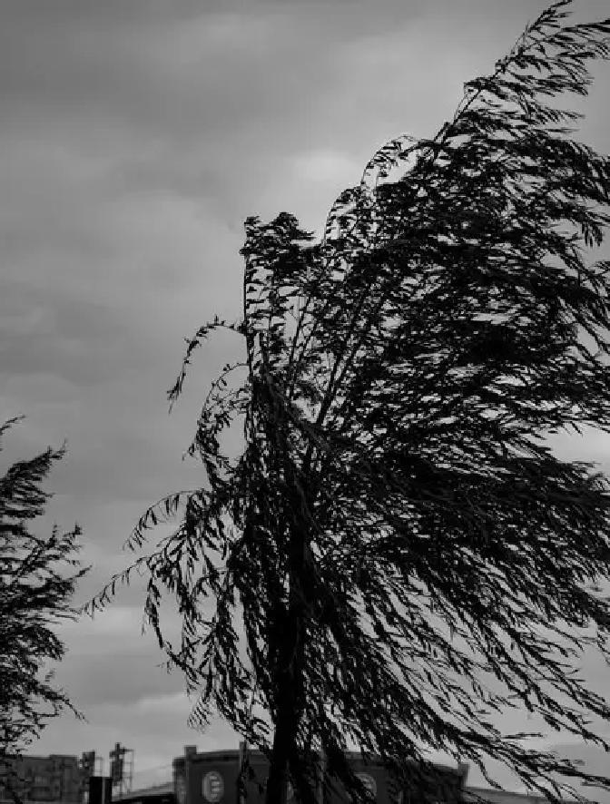 2026年3月底，一场狂风裹挟骤雨席卷山川，瞬间搅乱了原本宁静的天地。云层低垂遮