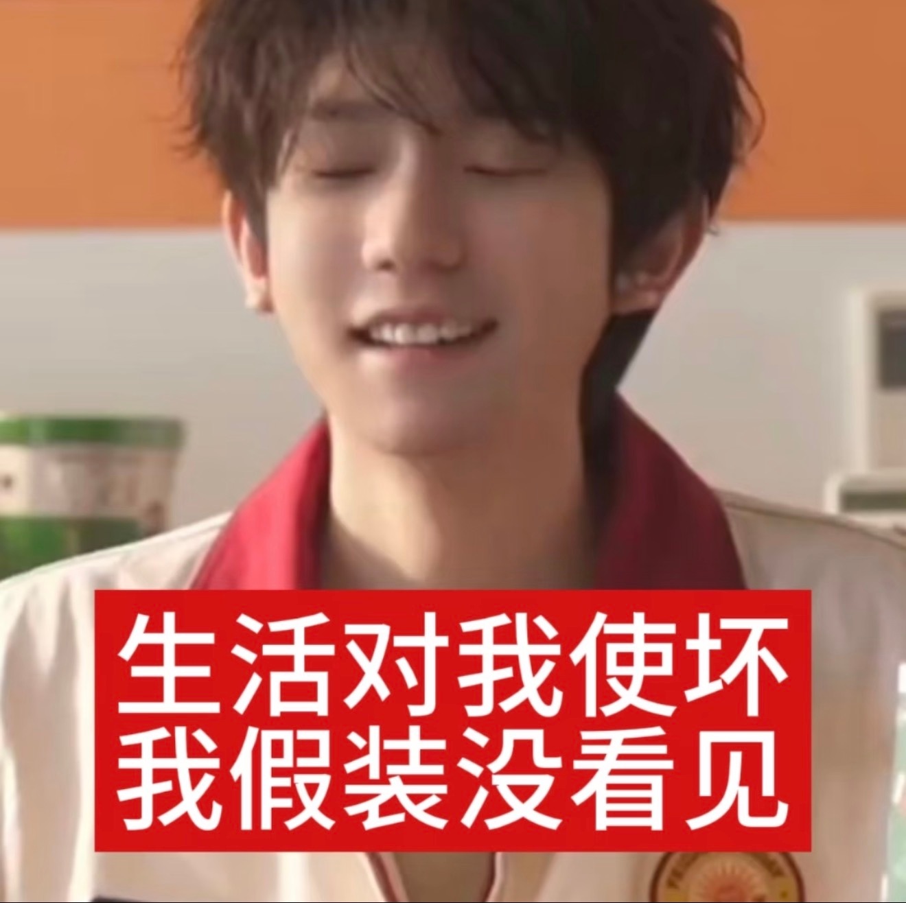 我只看到了一头发疯的铁蹄 