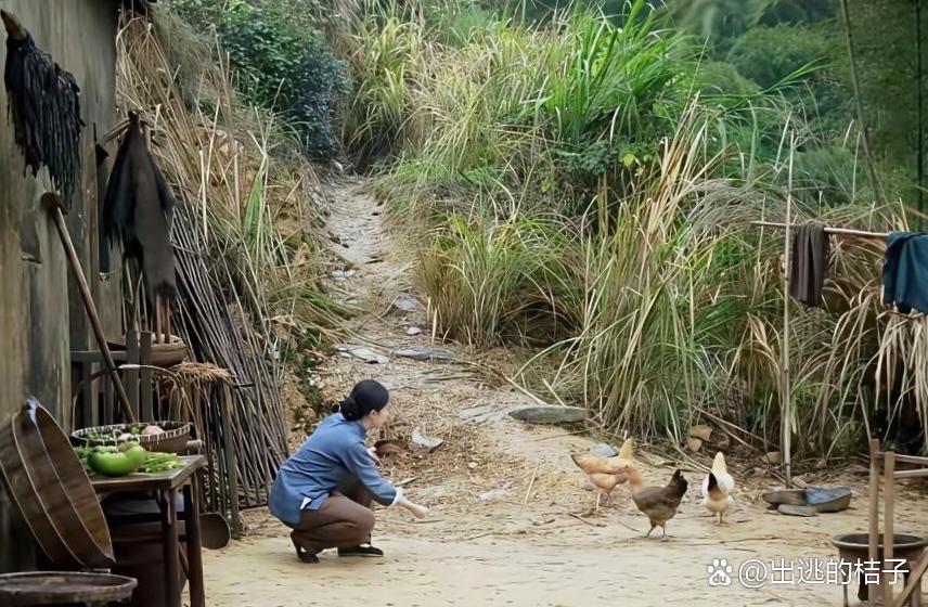 刘亦菲饰演农妇喂鸡的画面，自带清冷仙气，和质朴农家氛围感格格不入，看着总有些违和