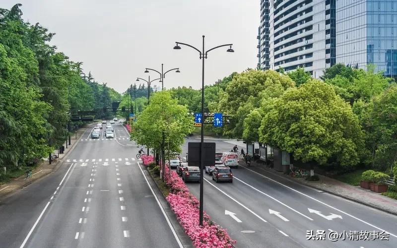 杭州道路绿化这次真的狠狠出圈了！近期好多市民发现，绿化带上种满了郁金香、紫罗兰、
