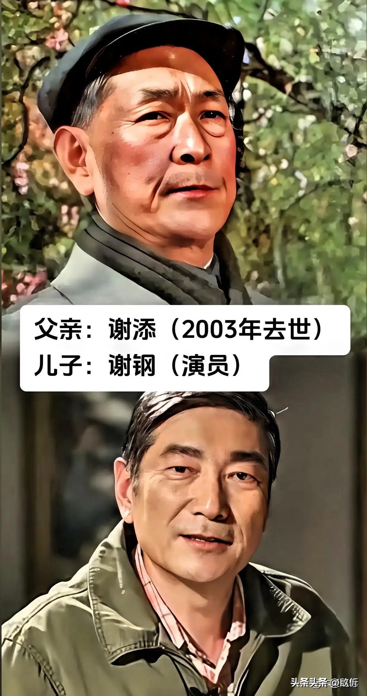都说娱乐圈是个圈，有人拼爹上位，有人靠实力杀出血路。可有些父子，他们之间的关系远