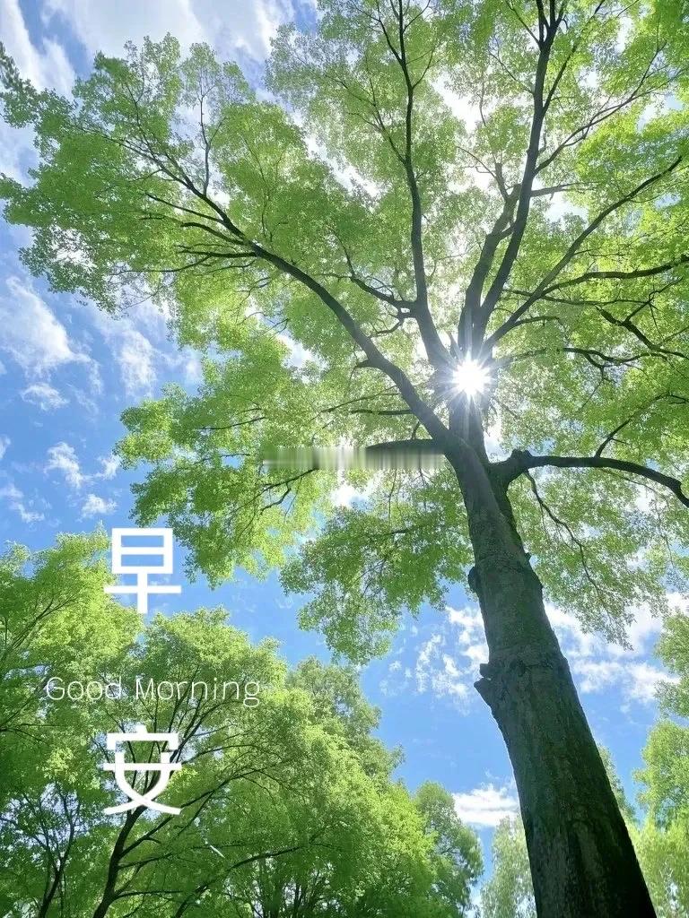 周一 新日启程，晨光启程。稳住心态，理清思路，顺势而为方得始终。交易之路不急不躁