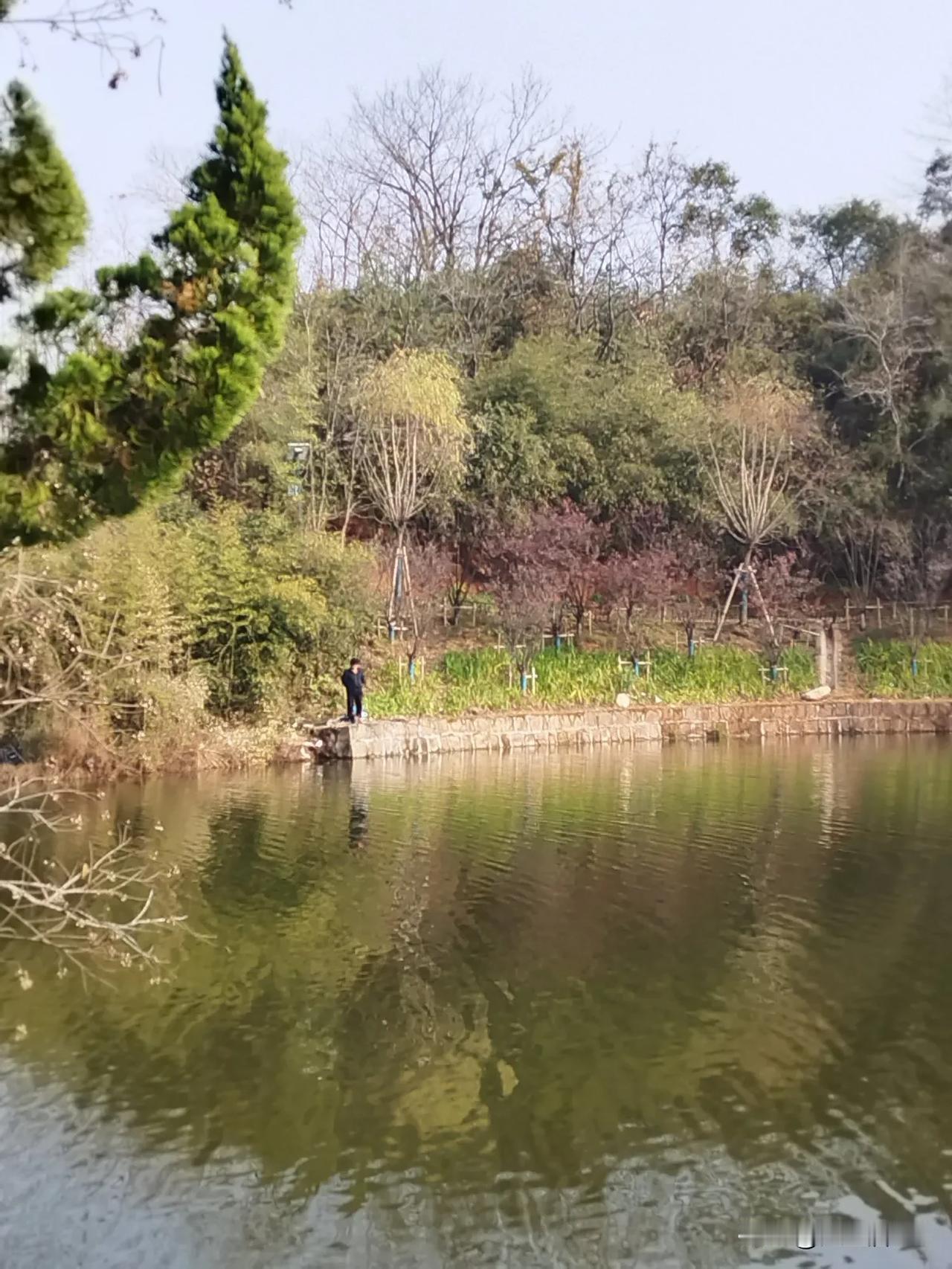 终于上鱼！
在市内和郊区钓鱼空军打龟好多天，为了过下中鱼的手瘾，驱车20多公里到