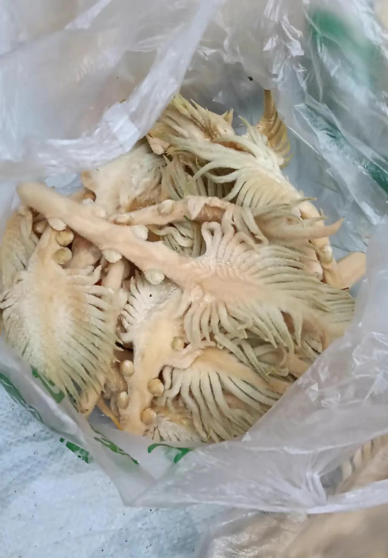 这同事给的啥玩意