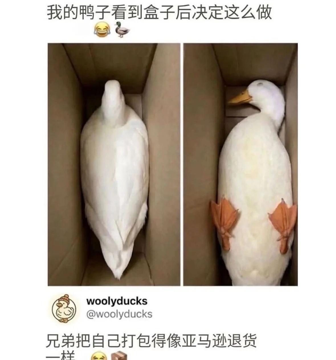“亚马逊退货”（✘）
“鸭马跌退货”（✔︎） ​​​