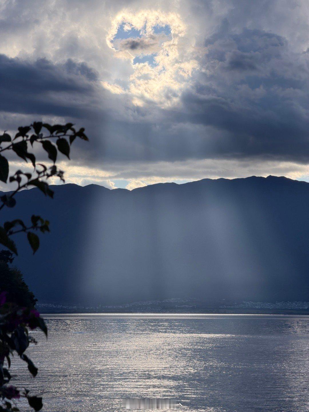 达利园效应[干饭人][干饭人][干饭人] ​​​