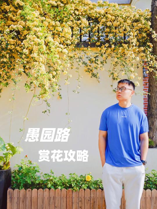 春日限定打卡指南 |上海长宁愚园路赏花攻略
