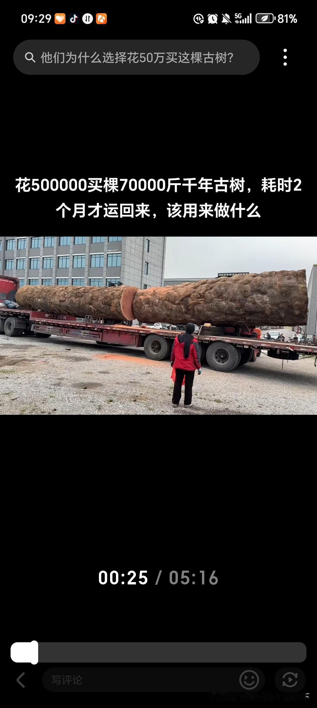 砍了这么大的树，拿来干啥[what]