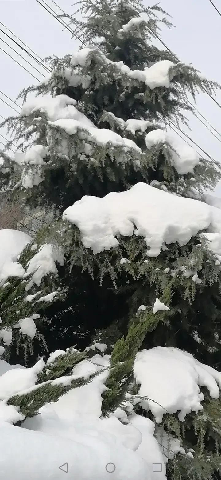 上联：风吹绿水千层浪，对下联下：雪盖青松万朵花。