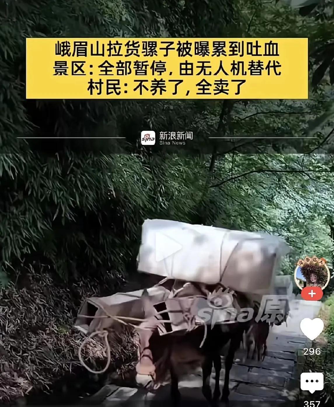 乱世先灭圣母，颠扑不破的真理。