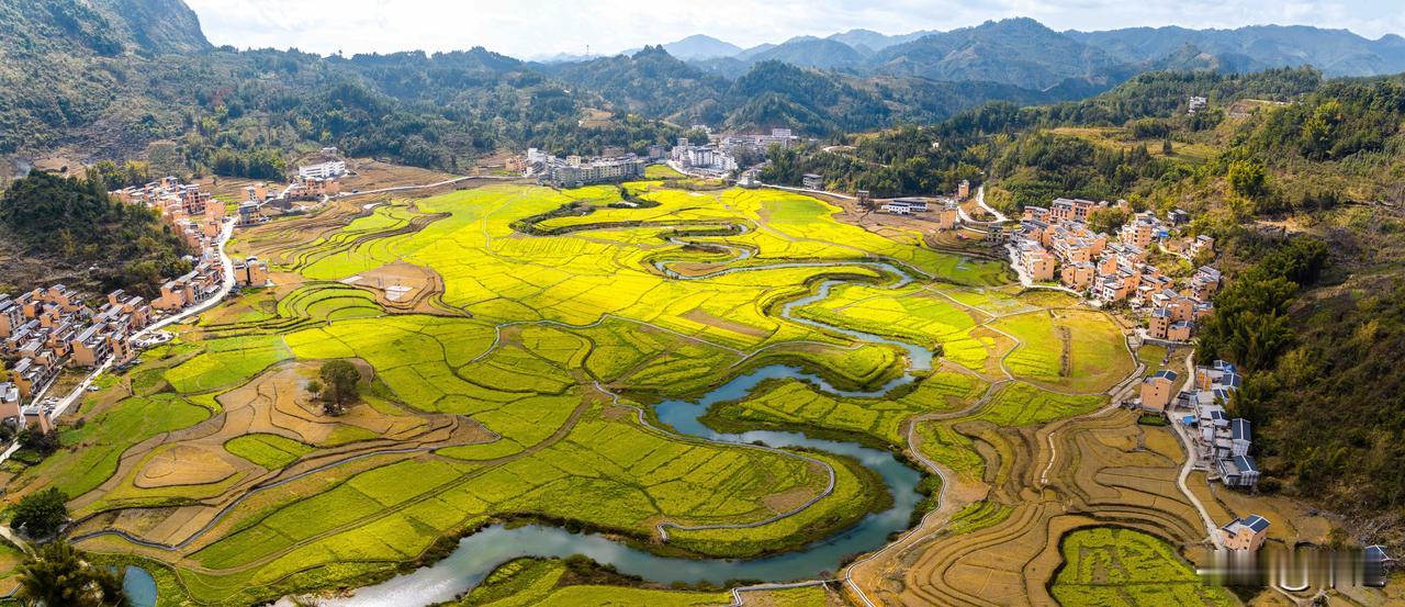 广西巴马油菜花盛开，巴马命河景区一个独特的自然生态景点，湾曲的河流仿佛与韩文的“