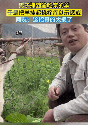 羊：老子宁愿变烤羊，也不愿这样子挠痒痒。
偷吃你个菜，有必要这样子弄吗？
挠痒痒