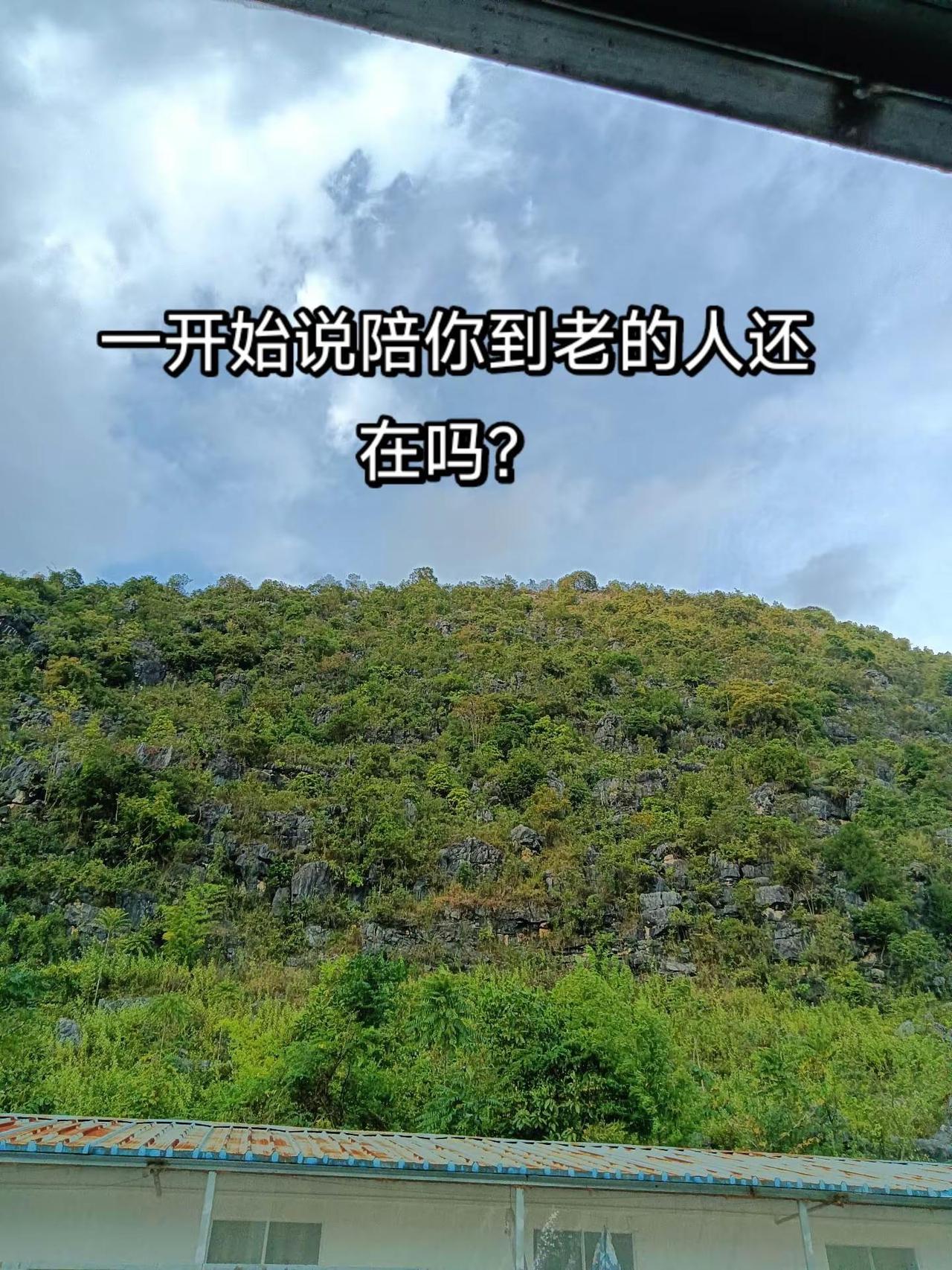 你一个转身就没有了归期，成为我一辈子的痛与思念……愿你在另一个世界安好……