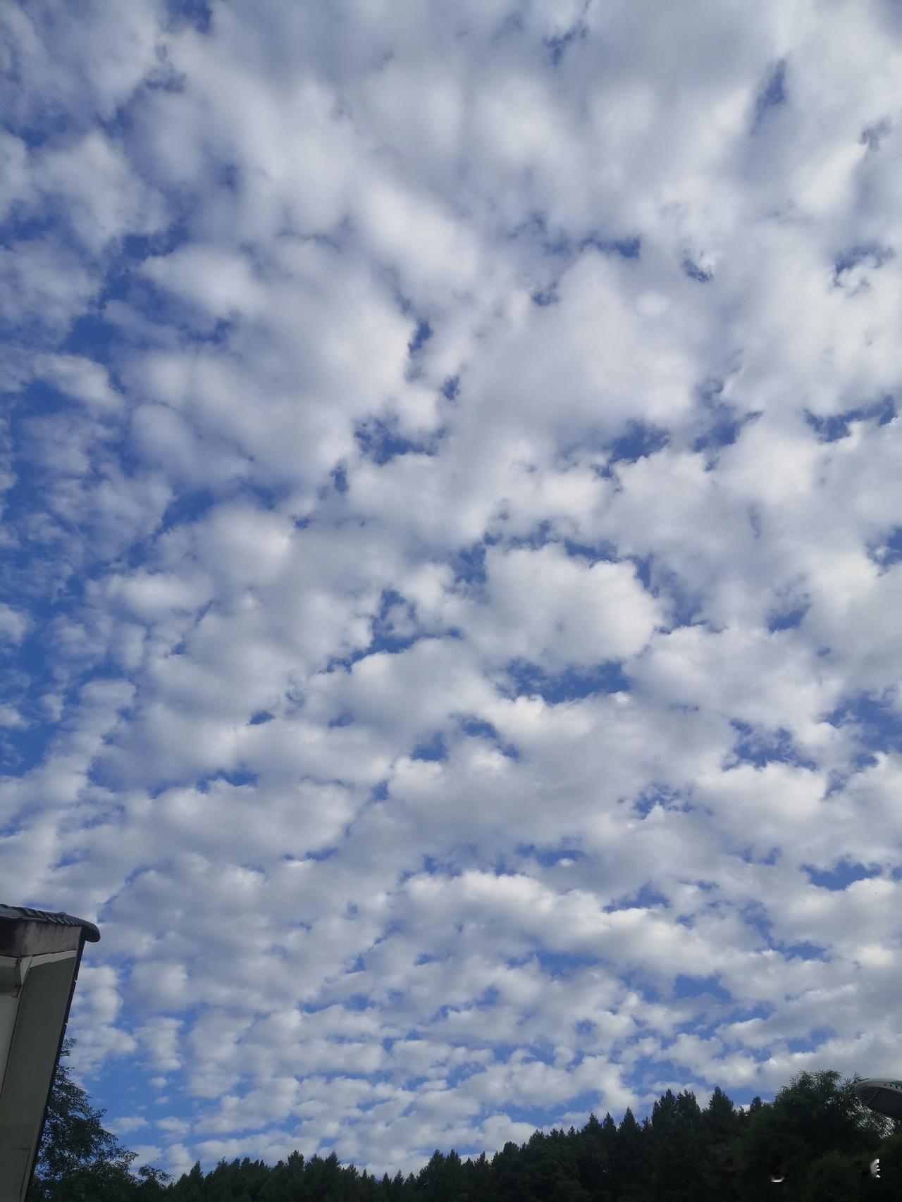 8月12日的天空，傍晚还是这么美丽。
四川中江县农村18:20的天空还是这么美丽