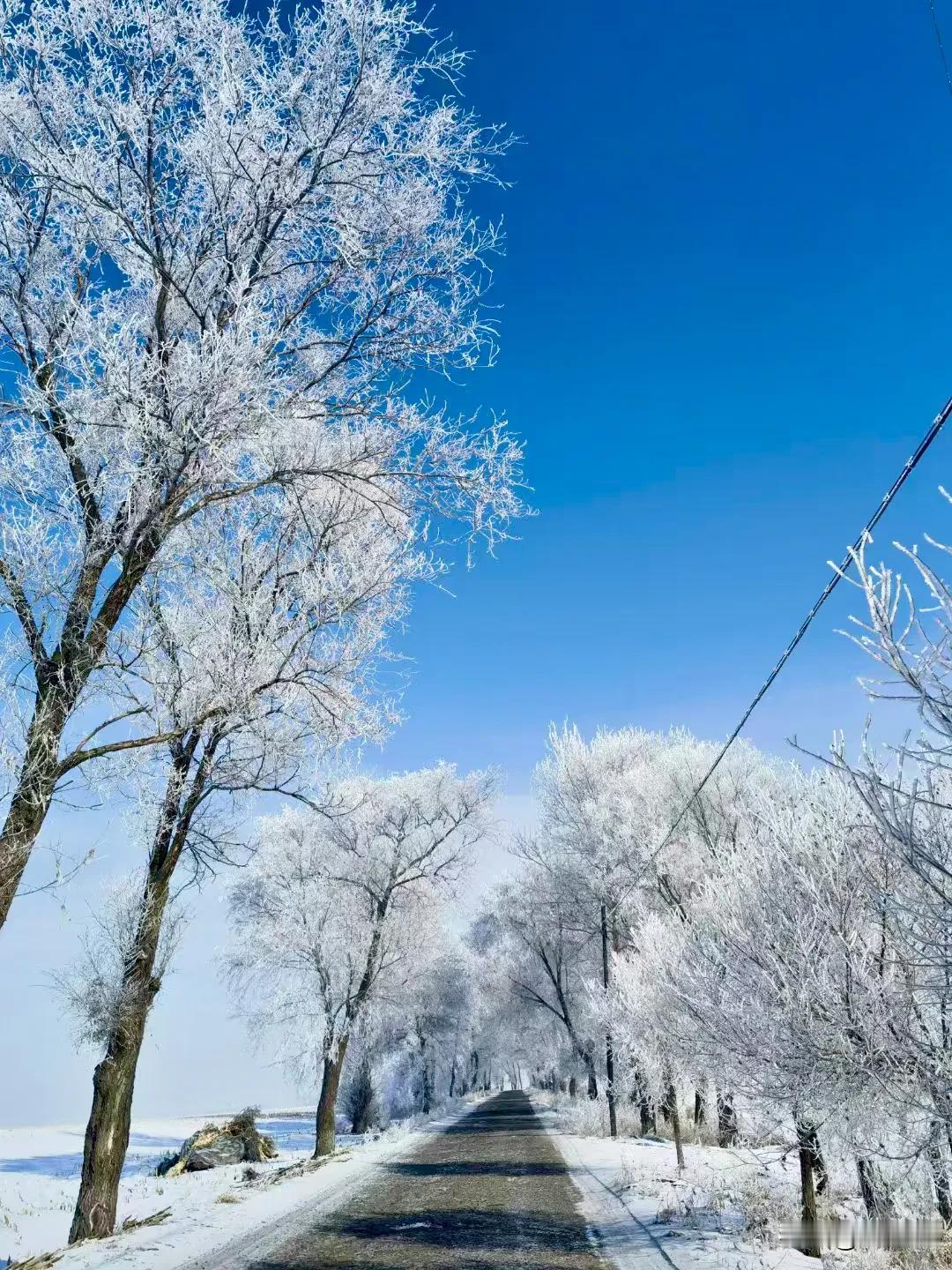 我曾看过这样一句话:
人在投胎来到世间之前，已经看过这完整的一生，最后还是选择来