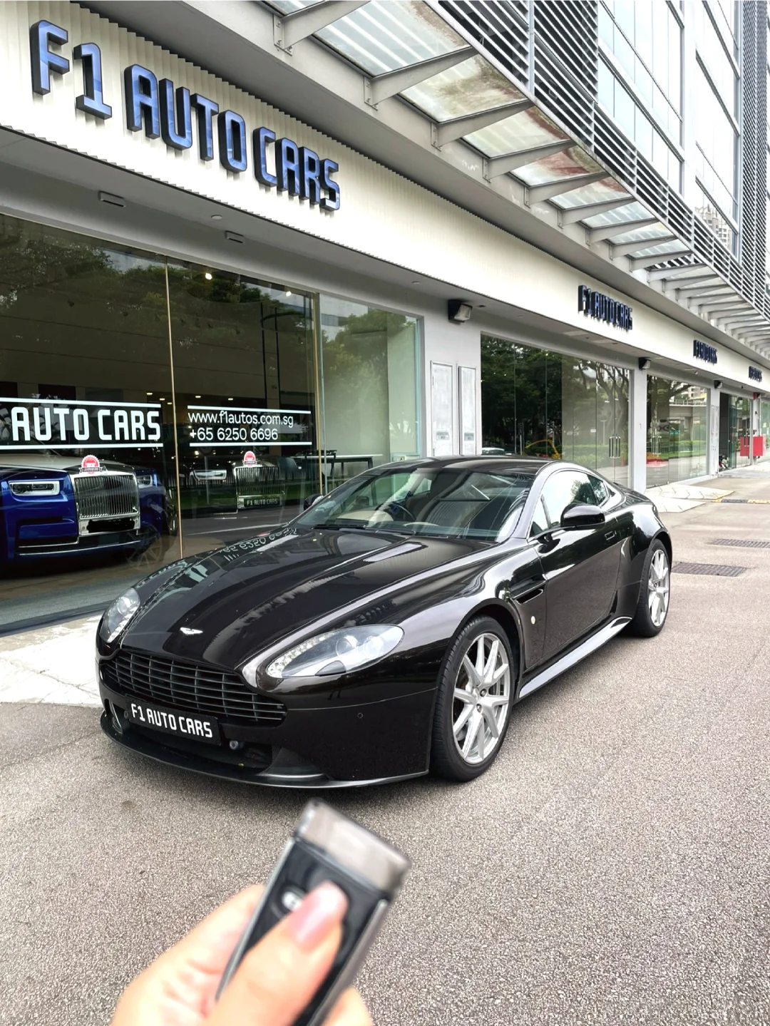 🇸🇬挑战体验200辆豪车200/116