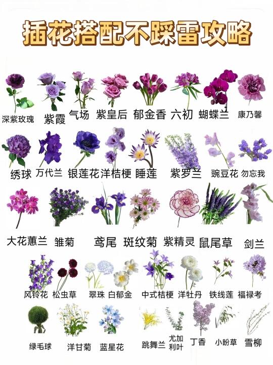 要是有人早点告诉我这些插花搭配就好了❗
