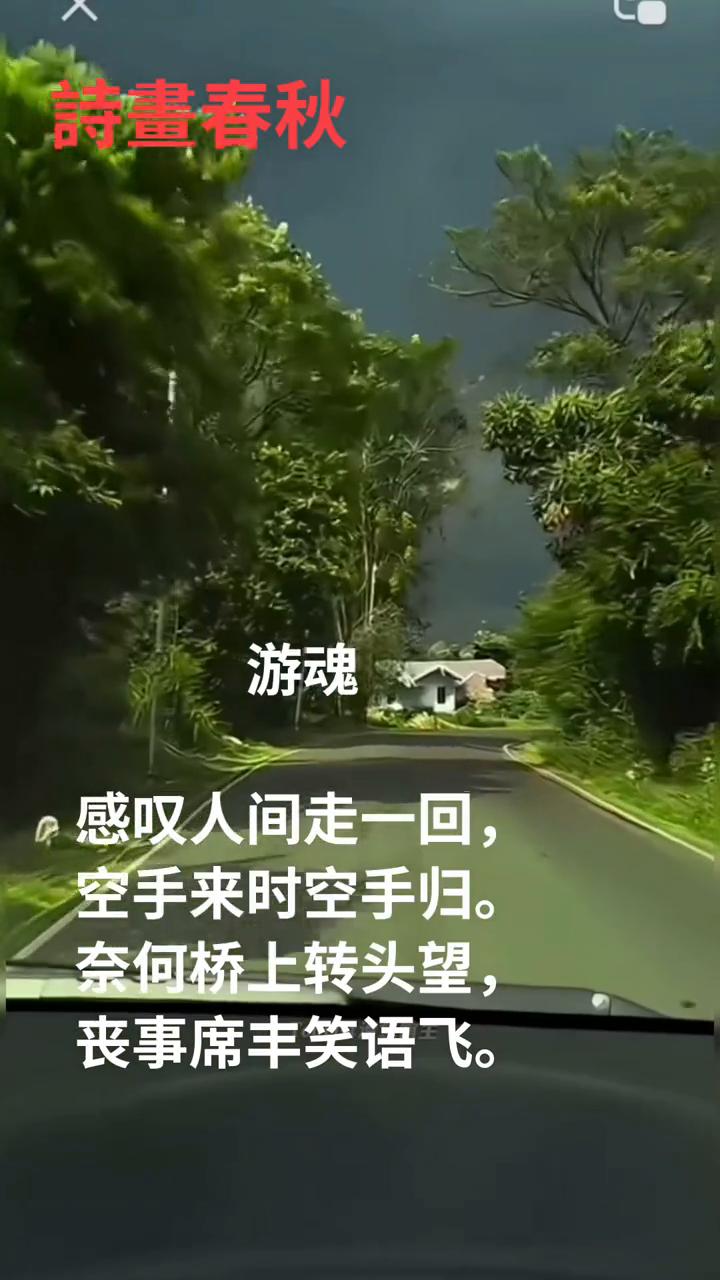 游魂。
感叹人间走一回，空手来时空手归。奈何桥上转头望，丧事席丰笑语飞。诗画春秋