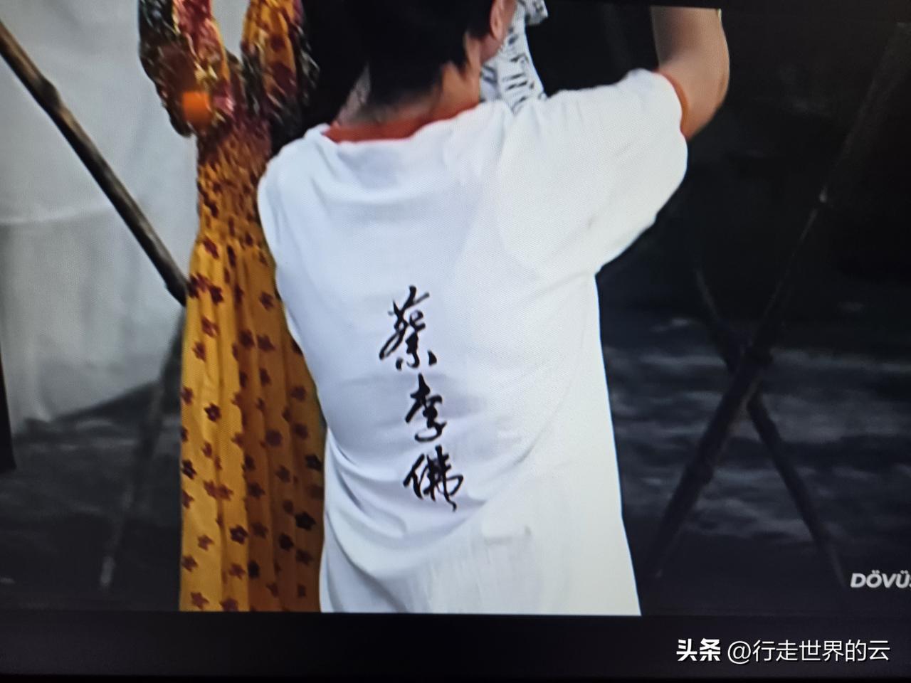 洪金宝力捧儿子洪天照的电影《蔡李佛》，15年前的电影，我此前竟然一无所知。确实不