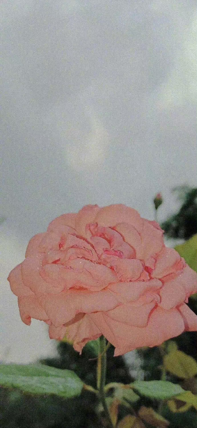 见的人多了，我得承认，那些身上自带稳定与秩序感的人是最吸引我的。纷乱的世界与他们
