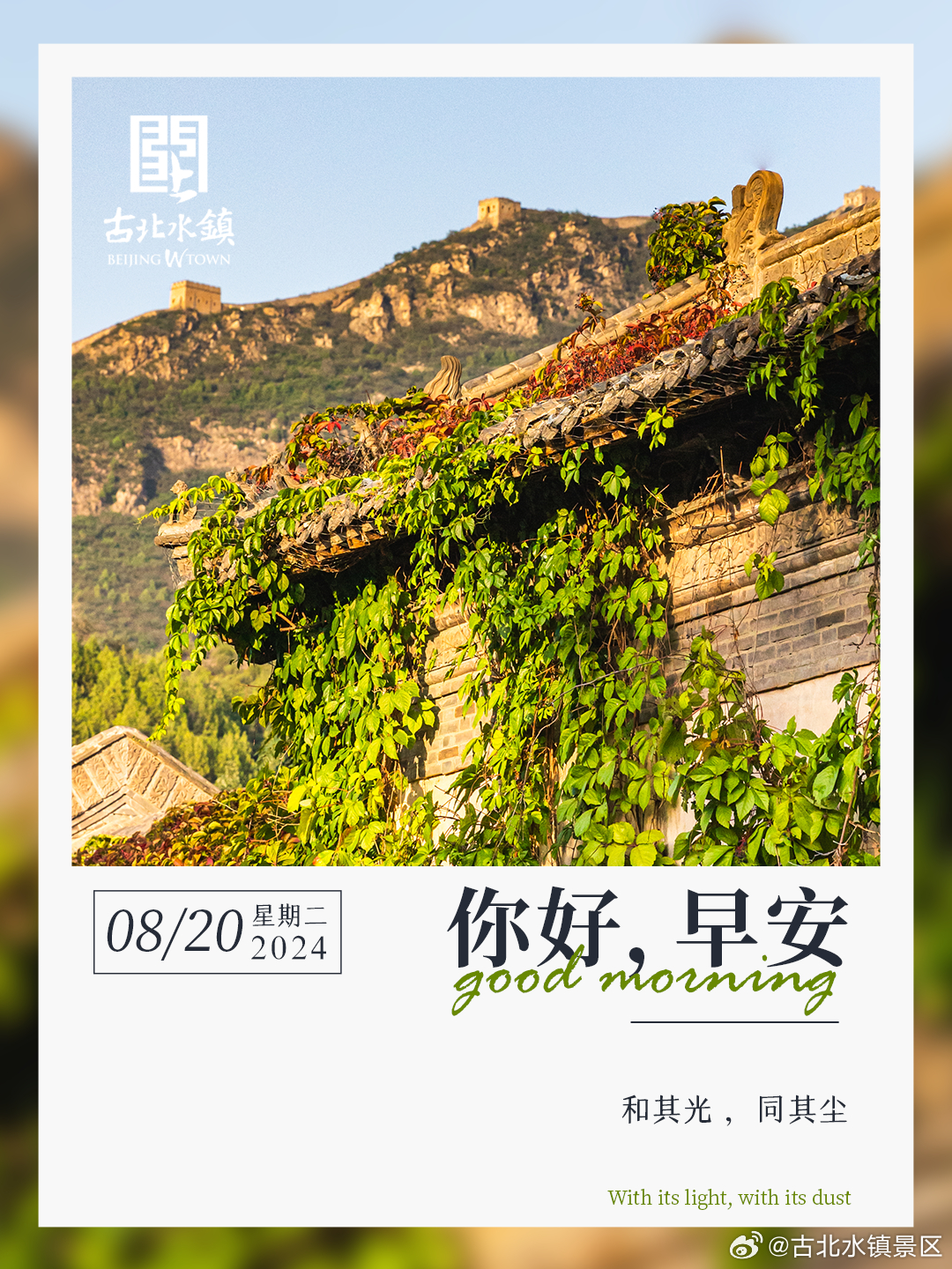 和其光， 同其尘早安，宝子们~ ​​​