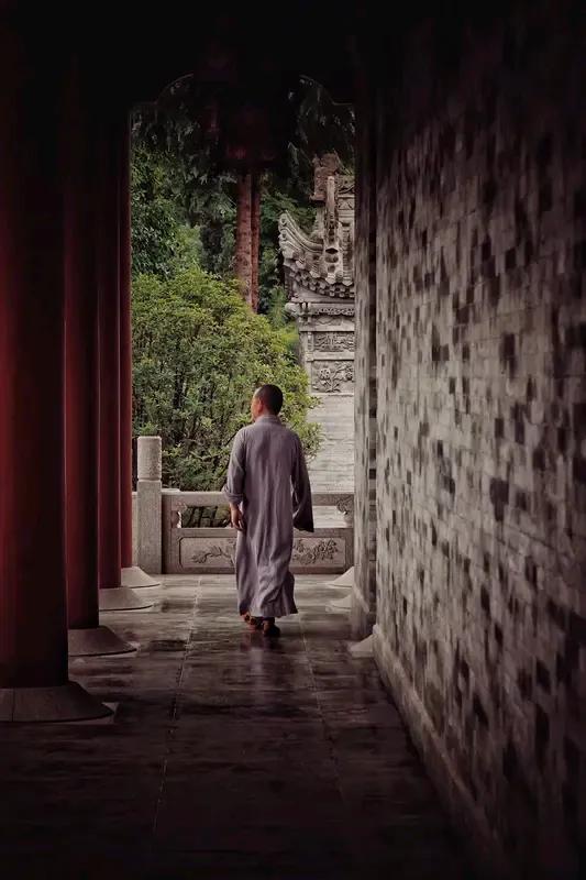 世界上有多少人不会为权利和金钱所动？我想，答案很明显，几乎没有一个人会抵挡住金钱