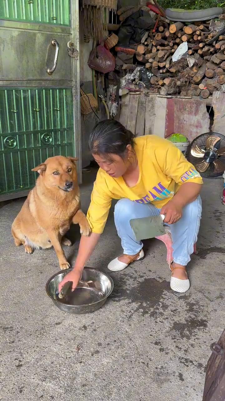 别伤害它，你要好好活着。