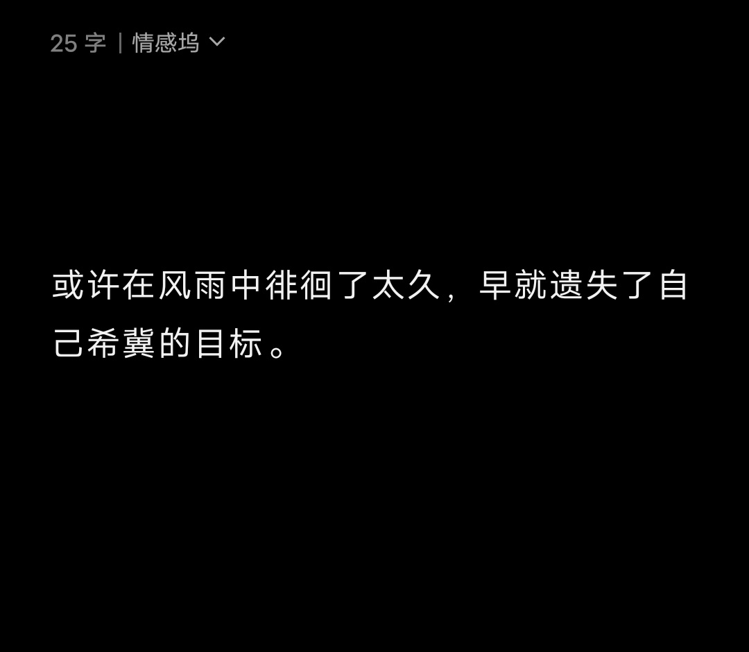 或许在风雨中徘徊了太久，早就遗失了自己希冀的目标。 ​​​