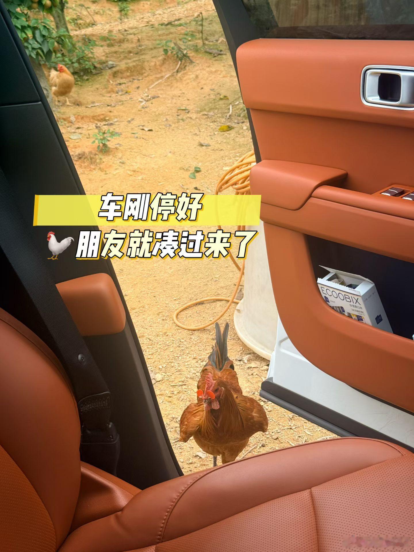 前方发回报道，已经到我的家乡（边上）啦。但第一张图我真的远程看就社死了。你们知道