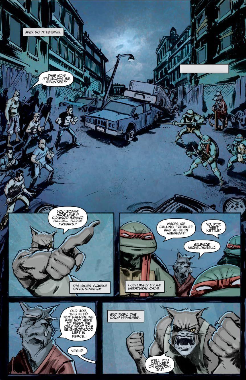 IDW Teenage Mutant Ninja Turtles: Ongoin