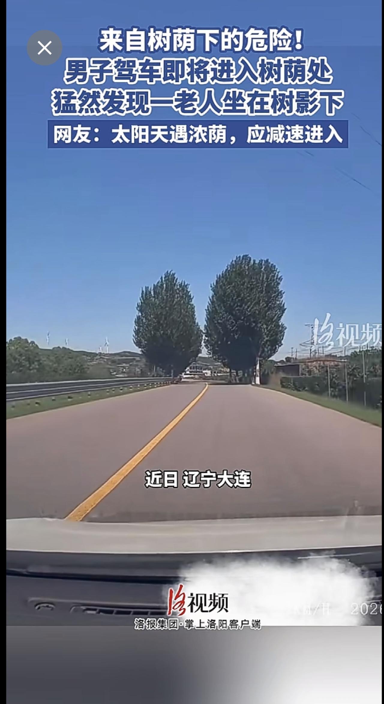 夏天谨防来自树荫下的危险！