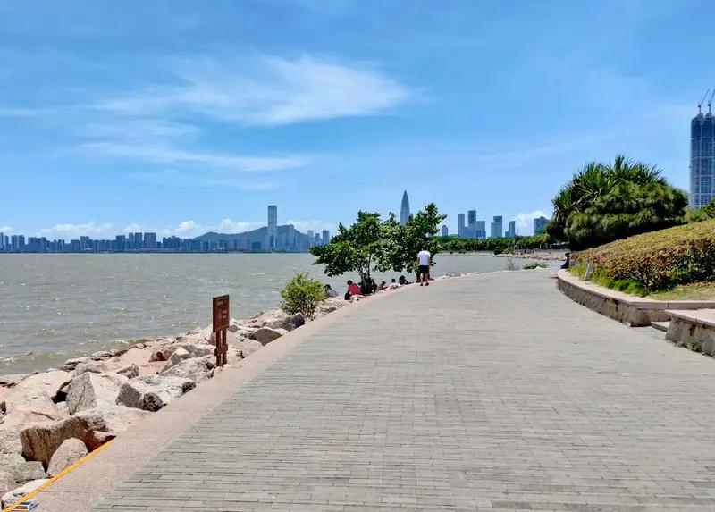 近日，有网友反映深圳湾公园晚上“黑漆漆”，希望装多点更亮堂的灯。工作人员回应：增